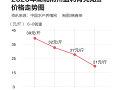 小龍蝦遭遇棄養潮：產量嚴重過剩 塘口幾乎無人問津